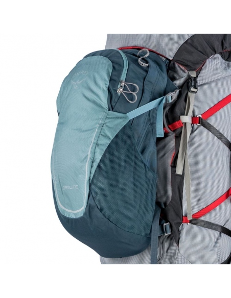 Σακίδια Ορειβατικά Osprey Aether 65 Backpack Garlic Mustard Green