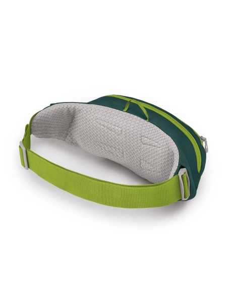 Waist bags Osprey Daylite Waist