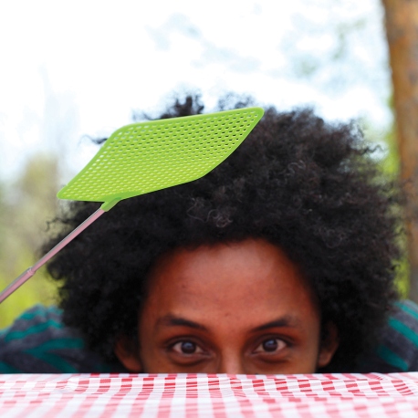 Insect Repellents Coghlan's Telescopic Fly Swatter