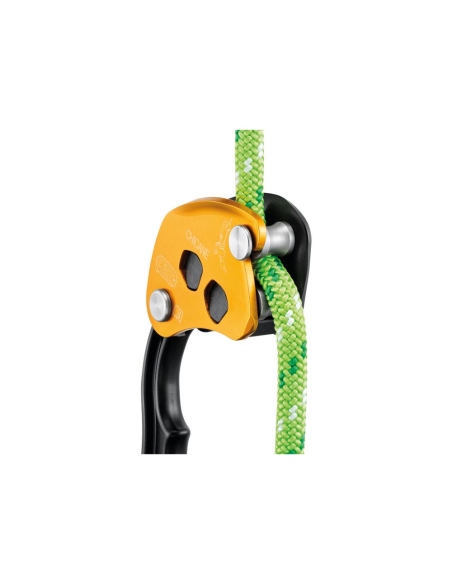 Pulleys Petzl Chicane
