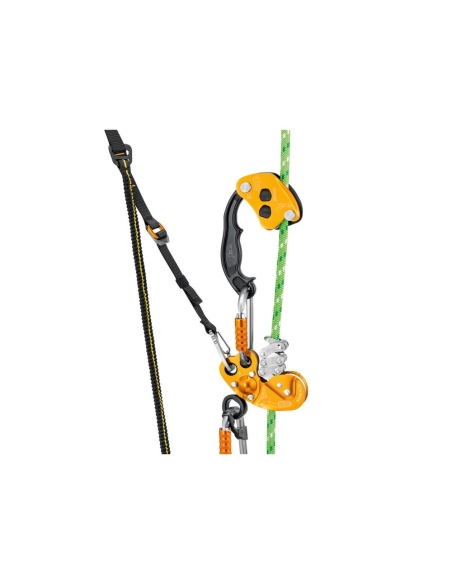 Pulleys Petzl Chicane