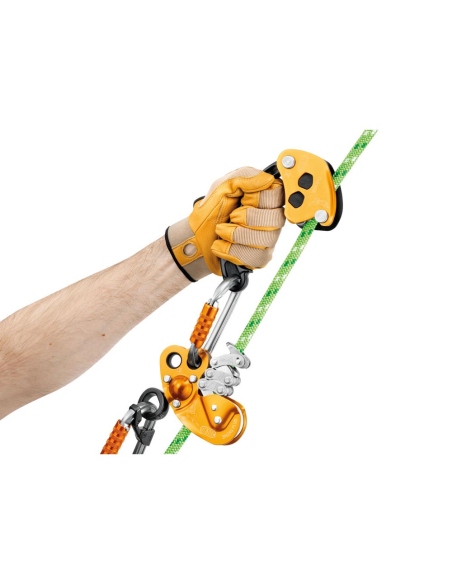 Pulleys Petzl Chicane