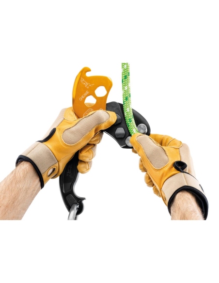 Pulleys Petzl Chicane