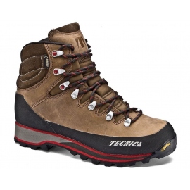Boots - Hiking Shoes Tecnica Trek Alps GoreTex