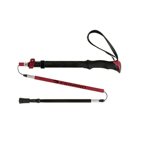 Trekking Poles Ferrino Spantik Stick