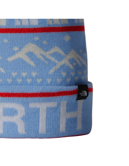 Beanies The North Face Ski Tuke Beanie