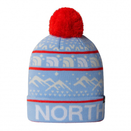 Beanies The North Face Ski Tuke Beanie