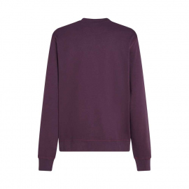 Μακρυμάνικες O'Neill Men's Logo Sweatshirt Aubergine 2