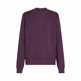 Μακρυμάνικες O'Neill Men's Logo Sweatshirt Aubergine