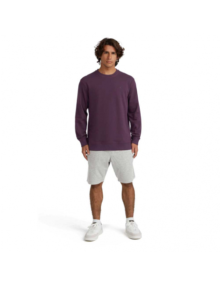 Long-Sleeved O'Neill Men's Logo Sweatshirt Aubergine