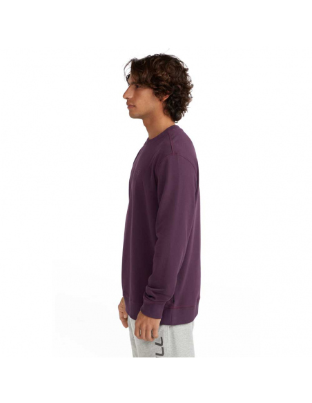 Long-Sleeved O'Neill Men's Logo Sweatshirt Aubergine