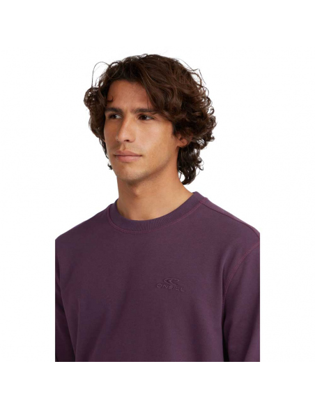 Long-Sleeved O'Neill Men's Logo Sweatshirt Aubergine