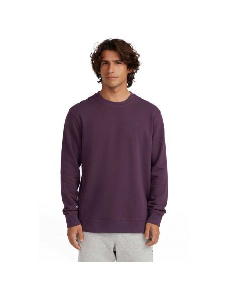Long-Sleeved O'Neill Men's Logo Sweatshirt Aubergine