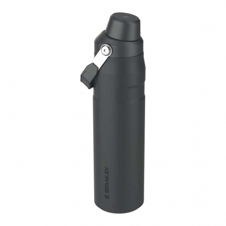 Hydration - Thermos - Bottles Stanley IceFlow Fast Flow Bottle 0.6L