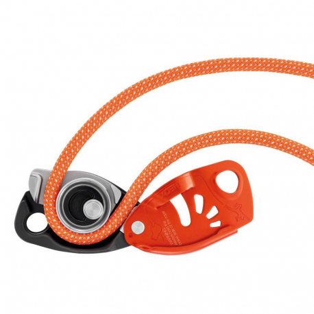 Ascenders - Descenders Petzl Neox