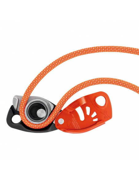 Ascenders - Descenders Petzl Neox