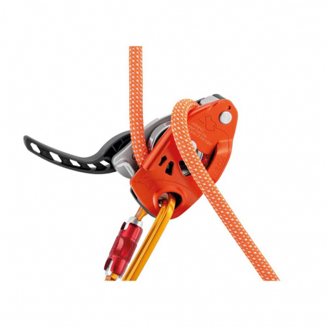 Ascenders - Descenders Petzl Neox