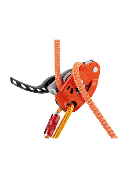 Ascenders - Descenders Petzl Neox