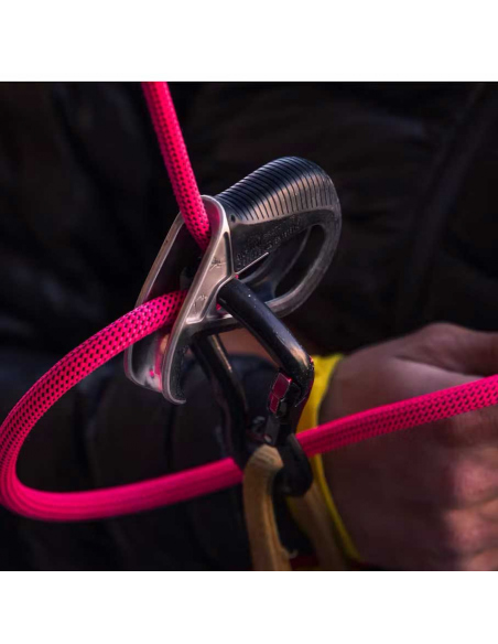 Ascenders - Descenders Black Diamond ATC-Pilot