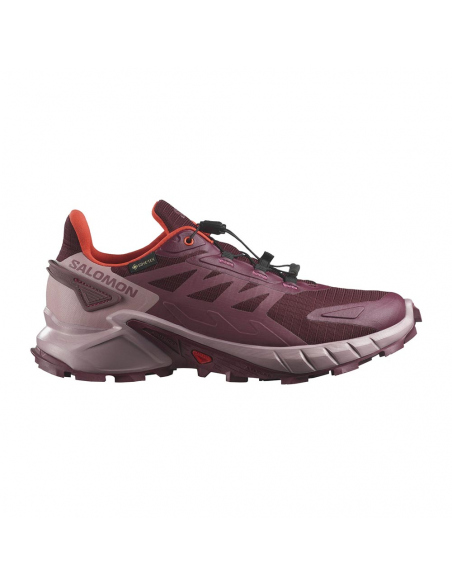 Athletic Shoes Salomon Women's Supercross 4 GTX Mauve