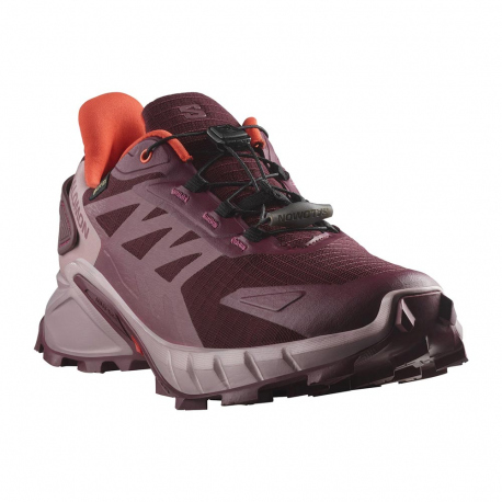 Αθλητικά Salomon Women's Supercross 4 GTX Mauve