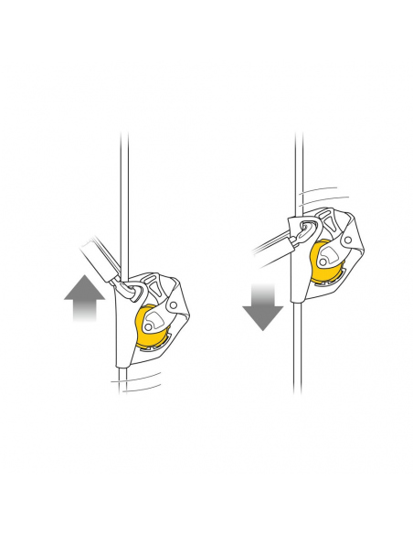 Carabiners Petzl ASAP