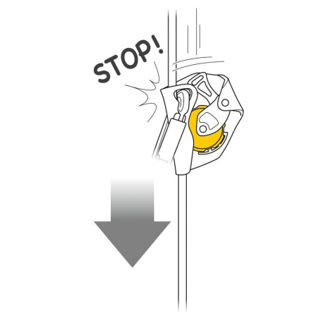 Κρίκοι Ασφαλείας Petzl ASAP Κρίκοι Ασφαλείας Petzl ASAP