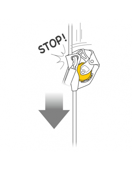 Carabiners Petzl ASAP