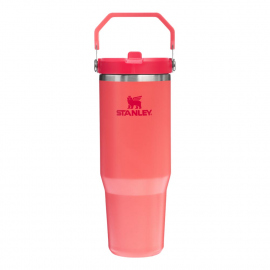 Hydration - Thermos - Bottles Stanley IceFlow Flip Straw Tumbler 0.89L