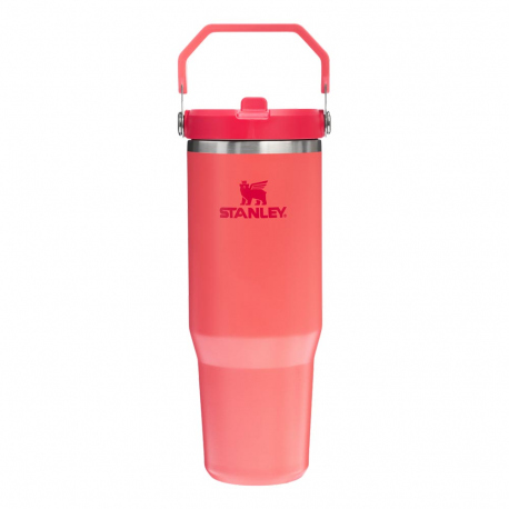 Υδροδοχεία - Θερμός - Παγούρια Stanley IceFlow Flip Straw Tumbler 0.89L