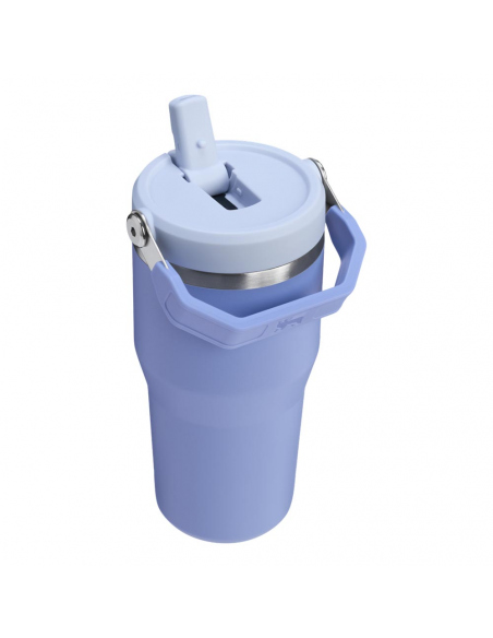 Hydration - Thermos - Bottles Stanley IceFlow Flip Straw Tumbler 0.6L