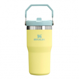 Hydration - Thermos - Bottles Stanley IceFlow Flip Straw Tumbler 0.6L