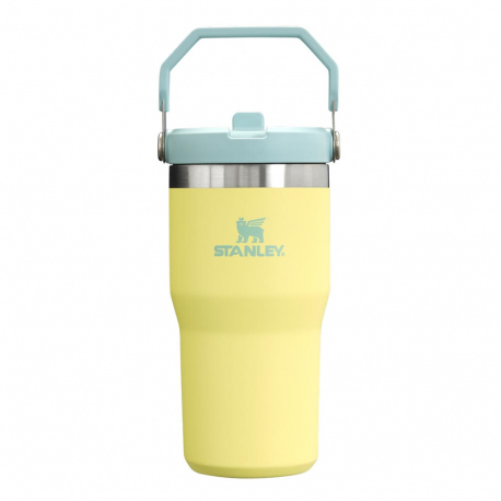 Υδροδοχεία - Θερμός - Παγούρια Stanley IceFlow Flip Straw Tumbler 0.6L