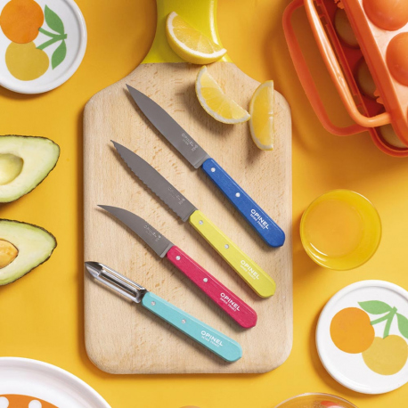Cutlery Opinel Pop80 Les Essentiels Set