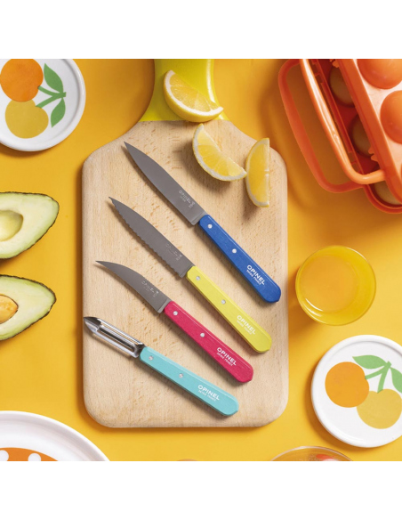 Cutlery Opinel Pop80 Les Essentiels Set