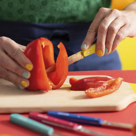 Cutlery Opinel Pop80 Les Essentiels Set