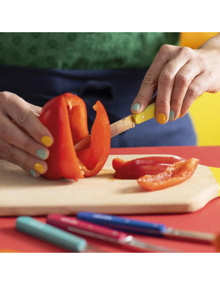 Cutlery Opinel Pop80 Les Essentiels Set