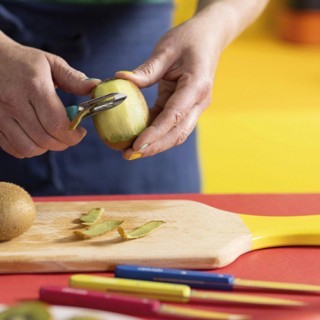 Cutlery Opinel Pop80 Les Essentiels Set