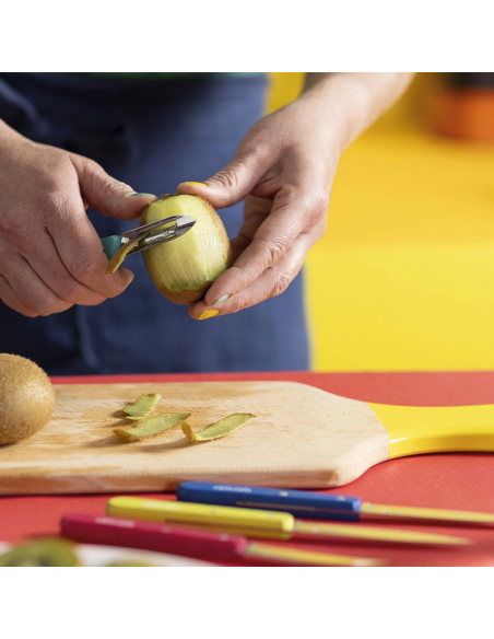 Cutlery Opinel Pop80 Les Essentiels Set