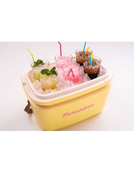 Refrigerators Polarbox Gold Edition Cooler 20L