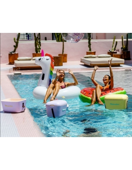 Ψυγεία Polarbox Gold Edition Cooler 12L