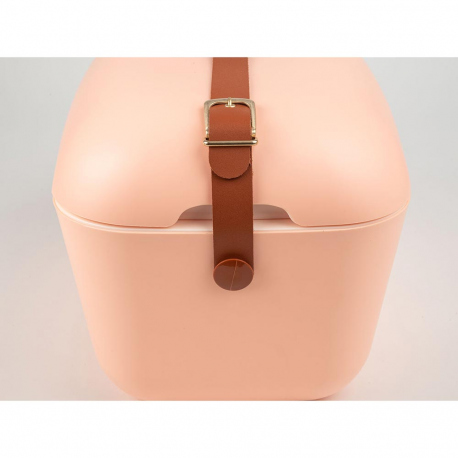 Ψυγεία Polarbox Gold Edition Cooler 12L