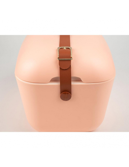 Ψυγεία Polarbox Gold Edition Cooler 12L