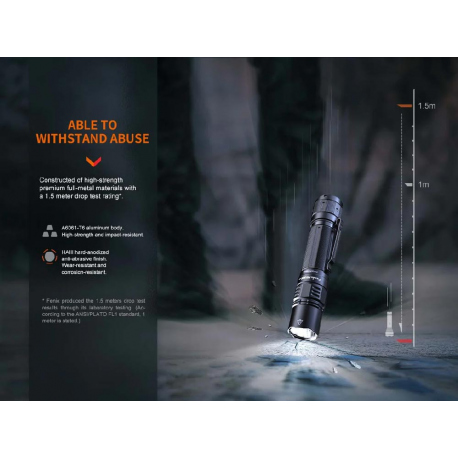 Flashlights Fenix PD36R PRO + MINI-LITE