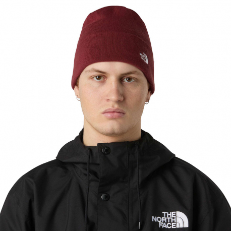 Beanies The North Face Norm Beanie Sumac