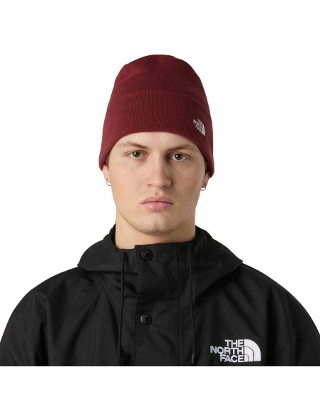 Beanies The North Face Norm Beanie Sumac