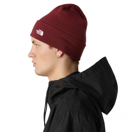 Beanies The North Face Norm Beanie Sumac
