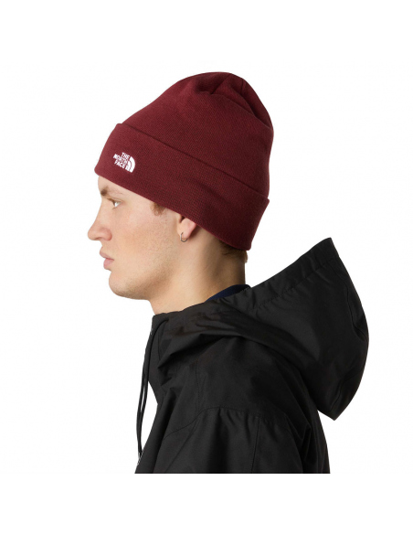 Beanies The North Face Norm Beanie Sumac