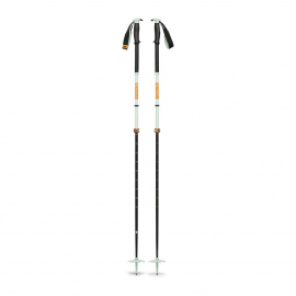 Trekking Poles Black Diamond Traverse Pro Ski Poles 155 cm