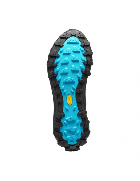 Shoes Scarpa Men's Rove Rock GTX Black